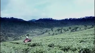 Musicstory No.2: Nadafiksi