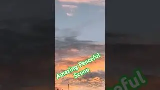 Amazing peaceful Scene#amazingview#peaceful #scene#view#viralviews