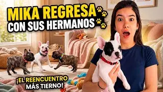 &iexcl;ASI FUE EL ENCUENTRO MAS TIERNO DEL A&Ntilde;O!  | Ana Emilia