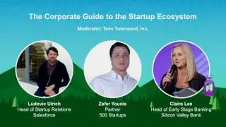 The Corporate Guide to the Startup Ecosystem