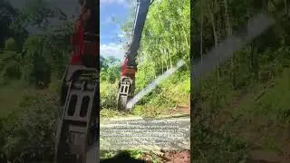 Bamboo Harvest Revolution: How Scissor-Claw Excavators Are Changing the Game!