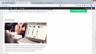 Spacious Business Page Setup Series - 03 Featured Single Page Setup