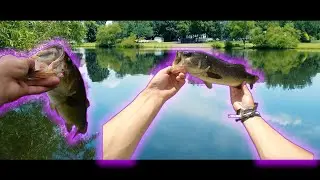SICK drone shots and PLENTY of LARGIES!!!