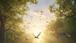 Whisper Sleep Story | Calm Nature Journey for Deep Sleep