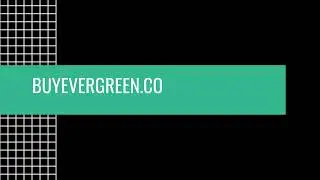Buyevergreen.co Reviews &ndash; Is It Legit or a Scam? | What Are Your Thoughts?