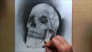 Realistic SKULL speed drawing