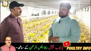Lightening Tips for Broiler Farm ,Management & Importance سمارٹ لائٹنگ مینجمنٹ سے گروتھ بہتر بنائیں