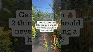 Never do these two things to your garden during a heatwave 🔥 #gardeningtips #gardening #garden