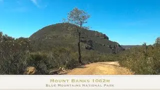 Blue Mountains National Park Bush Walk Mount Banks