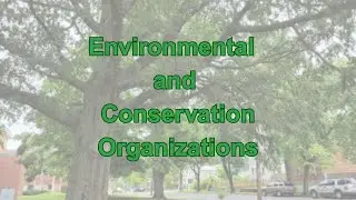 Environmental and Conservation Organizations category video