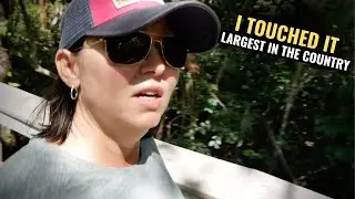 VAN LIFE EVERGLADES 🐊 NATIONAL PARK FLORIDA (Van Life Travel Vlog)