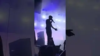 Motive - pVg ( Volkswagen Arena)