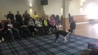 Impact 2018 Working Dog Conference. Practical Demo.