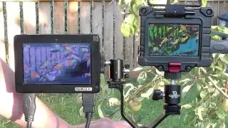 Zacuto EVF & SmallHD DP4-EVF Comparison: PART 2