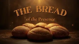 Discover the real meaning of 