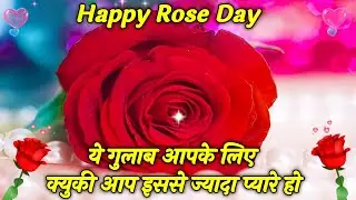 🌹 Rose Day Status Video | Happy Rose day video for WhatsApp greetings | Rose day status | velentine