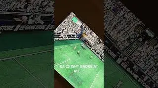 EA 25 Draft Glitch