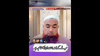 Allah Almighty is the guarantor of which three people?/Maulana Qari Muhammad Hammadullah Naqshbandi/