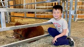 Highland Cows! We visited Black Rock Farm for a private visit 🐮