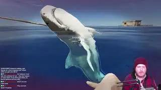 Shark Bait hoo ha ha | Stranded Deep