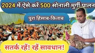 2024 में 500 सोनाली मुर्गी पालन का पूरा लेखा जोखा | How much cost, how much profit? | Sonali Murgi.