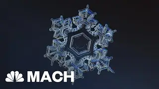 Anatomy Of A Snowflake: 35 Distinct Categories | Mach | NBC News