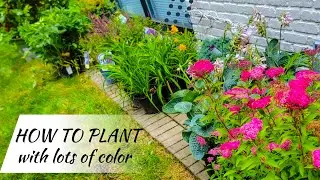 Adding Color to Your Yard: Tips for Mixing and Matching Plants