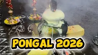 Pongal Malaysia 2026