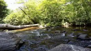 Bent Creek at the NC Arboretum in Asheville, NC.