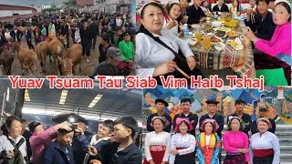 Coj Txiv Hlob Thiab Niam Hlob Peb Mus Ncig Tab Laj Toj Siab Yuav Khoom Lom Zem Tiag2 li os