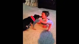 Baby Puppy Kisses