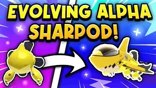 EVOLVING ALPHA GLEAMING SHARPOD IN LOOMIAN LEGACY!