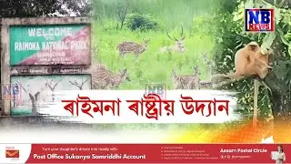 #nbnews #breakingnews #nbnewstv