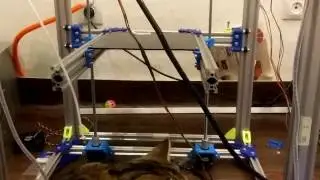 D-bot M8 leadscrew test