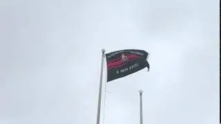 108 Welsh Field Squadron Flag on reformation parade