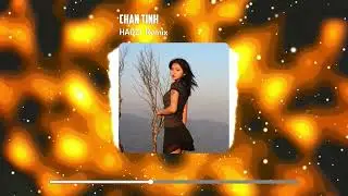 CH&Acirc;N T&Igrave;NH - HAOZI Remix | Houselak 2024 | Viet Deep | Deep House 2024