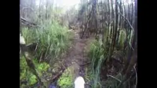 Trailbiking - Weld Eddy Track - Judbury Tas