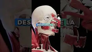 &iquest;Puedes Aliviar el Dolor en tus ARTICULACIONES con esto?#shortviral #articulaciones #youtubeshorts