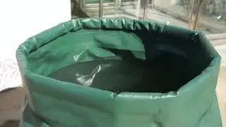 Hot Sale Onion Type PVC 1000L Water Tank with Army Green Color