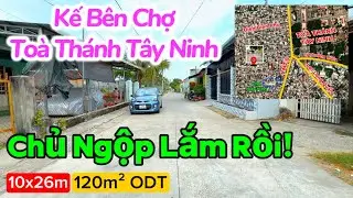 Căn Như Dây Đàn, Chính chủ cần bán đất gấp - Kế bên Chợ Hiệp Ninh & Tòa Thánh Tây Ninh