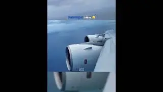 Passenger view VS Cockpit view 🤩🔥 - #aviation #plane #viralvideo #trending #shorts