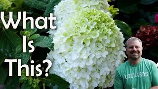 Test your plant knowledge🌱🌿☘️