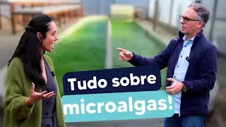 visitamos o Laboratório de Cultivo de Algas da UFSC!