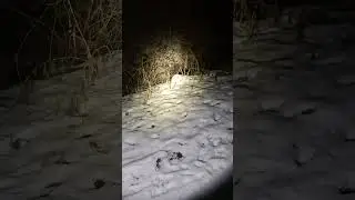 #explore #winter #shorts #shortvideo #viralshort #foryou #fyp #alone #snow #walking #night #dark