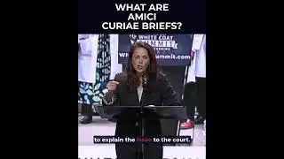 What are Amici Curiae Briefs?