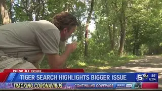 TWRA: No active search for tiger in Knoxville; filmmaker urges awareness
