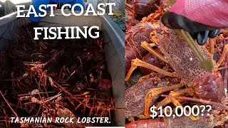 Fighting boats for a spot!!  East coast Lobster fishing. vlog 1