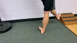 Controlled Dynamic Inversion