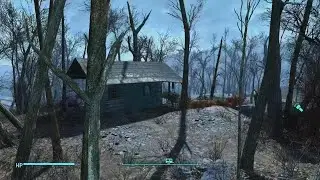 Love  Unexpected Fallout 4 Glitches