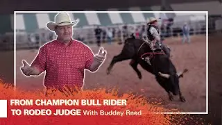 From Champion Bull Rider to Rodeo Judge With Buddy Reed